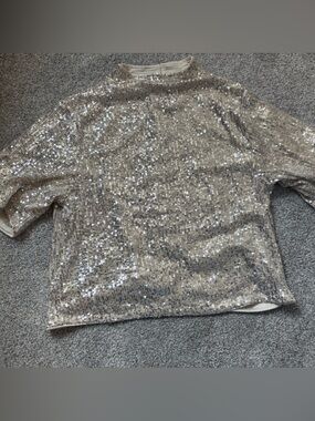 H&M Silver Sequin Short Sleeve Top